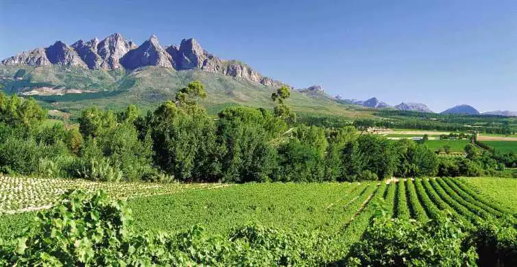 Full-Day Private Wine Route Tour | GetYourGuide