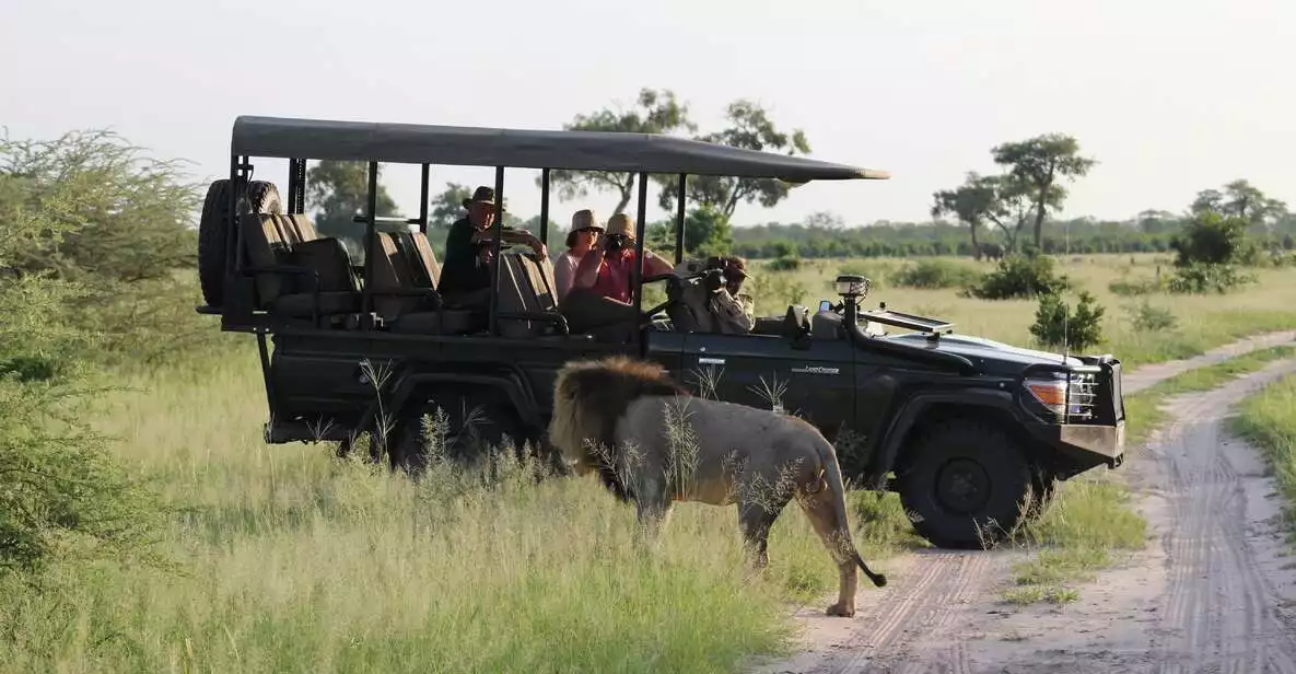 Chobe Day Trip from Victoria Falls, Zimbabwe | GetYourGuide