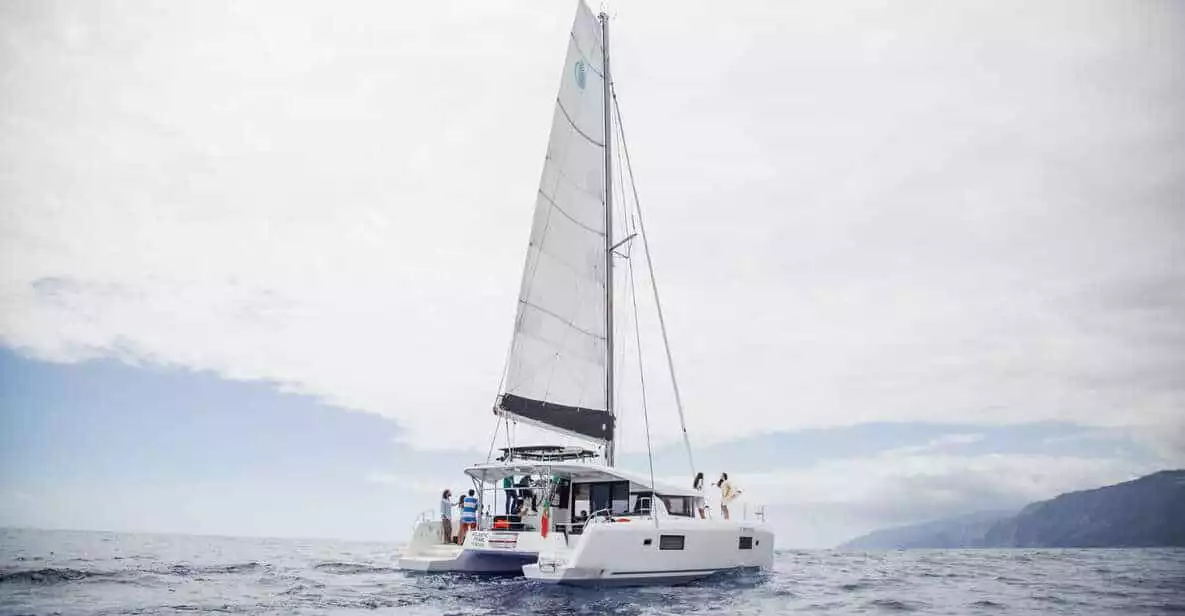 Funchal Bay: Dolphin & Whale Watch Luxury Catamaran Cruise | GetYourGuide
