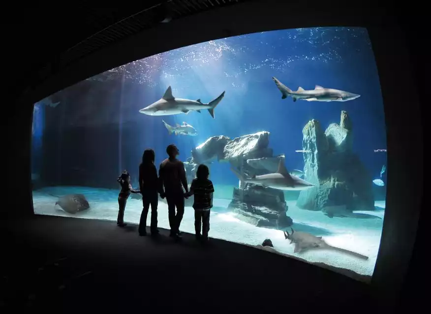 Genoa: Aquarium of Genoa Entry Ticket with Snack | GetYourGuide