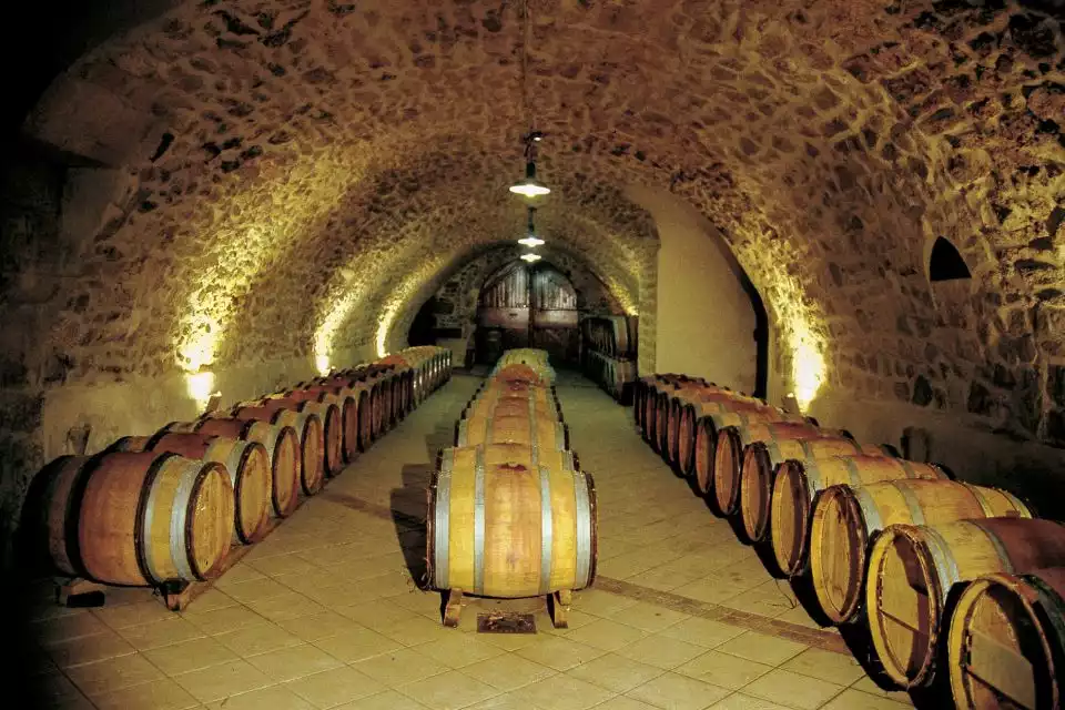 From Avignon: Half-Day Great Vineyards Tour | GetYourGuide
