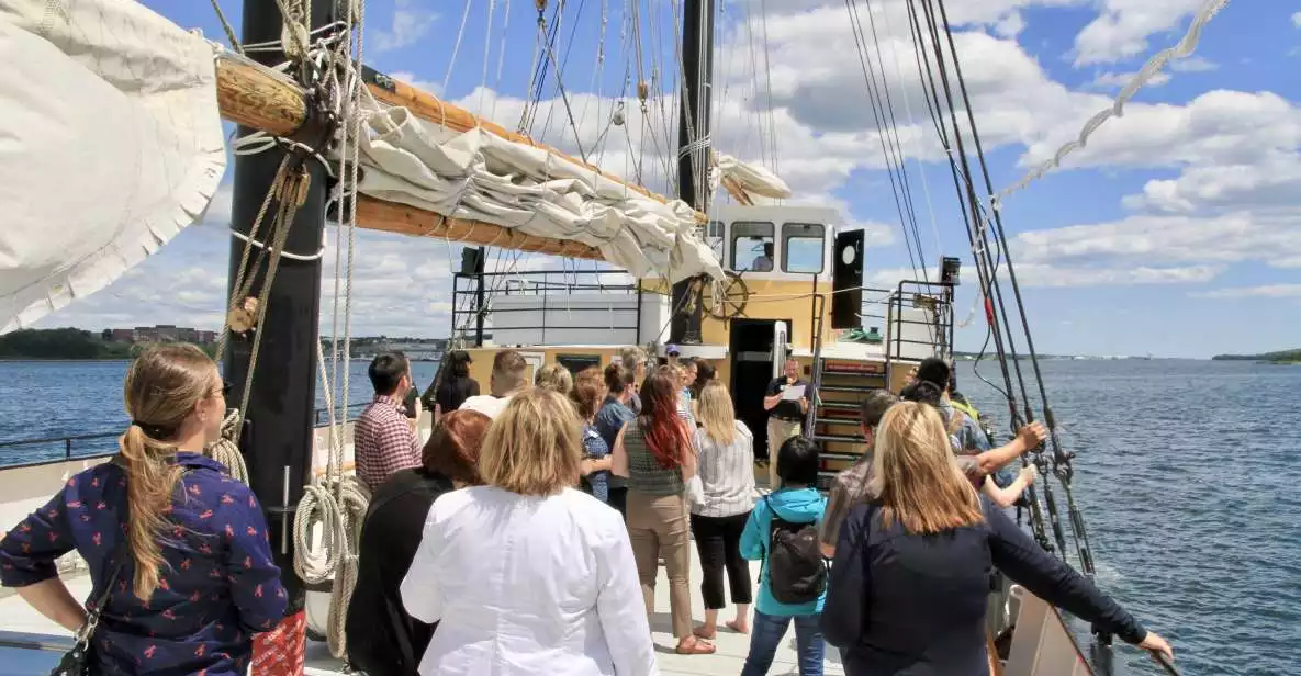 Halifax: 1.5-Hour Tall Ship Harbor Sailing Cruise | GetYourGuide
