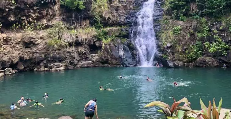 Hawaii: North Shore Adventure with Waimea Waterfall Hike | GetYourGuide
