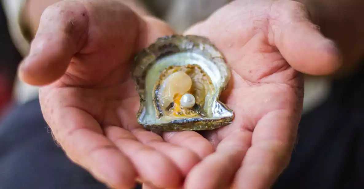 Hawkesbury River: Pearl Farm Express Tour | GetYourGuide