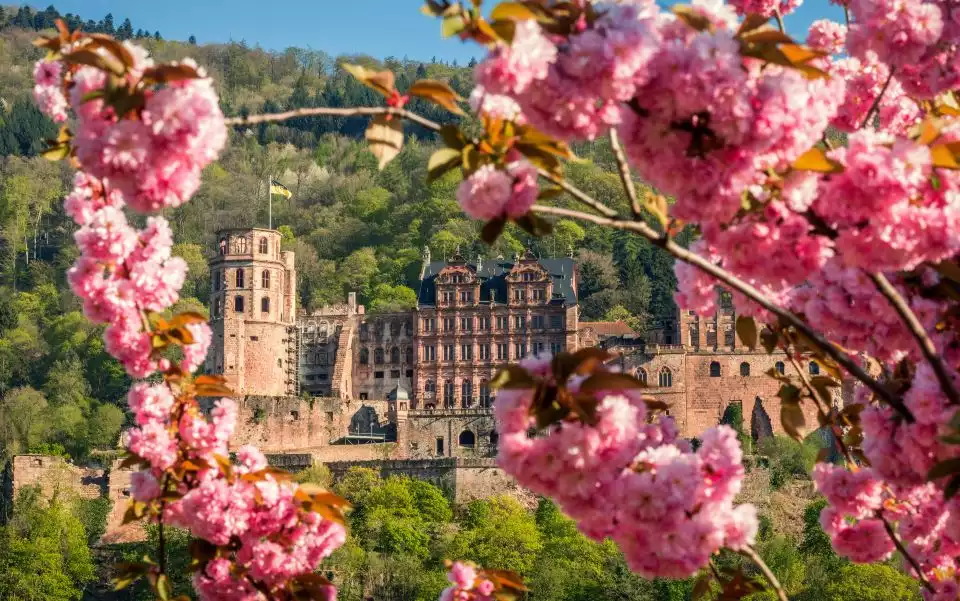 Heidelberg: Sightseeing Bus and Castle Tour | GetYourGuide