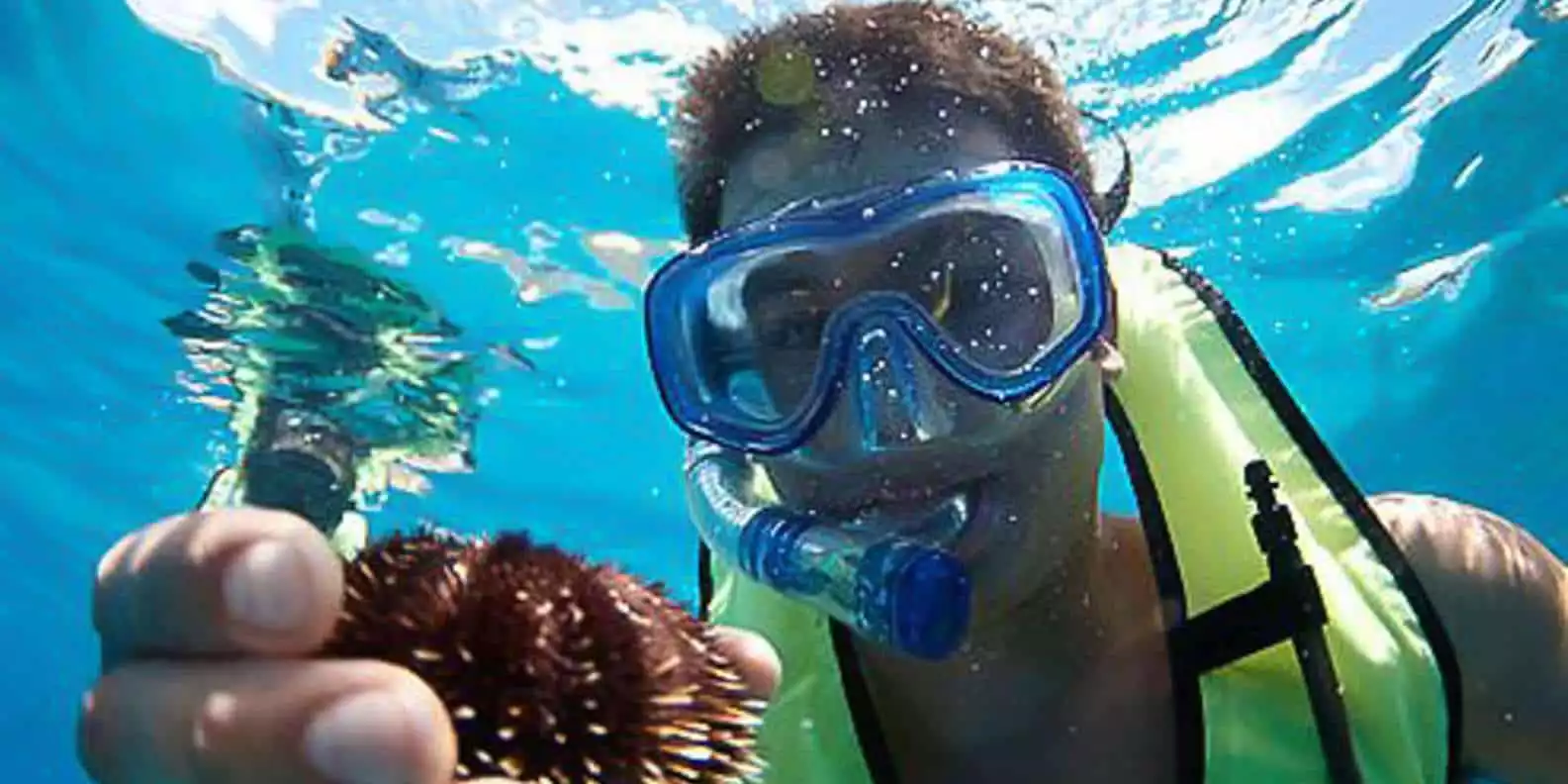 Oahu: Hilton Hawaiian Village Morning Snorkel with Lunch | GetYourGuide