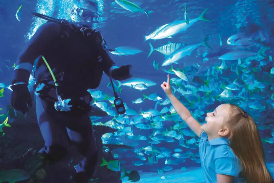 Houston CityPASS®: Save 50% at 5 Top Attractions | GetYourGuide