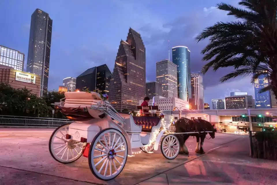 Houston Like a Local: Customized Private Tour | GetYourGuide