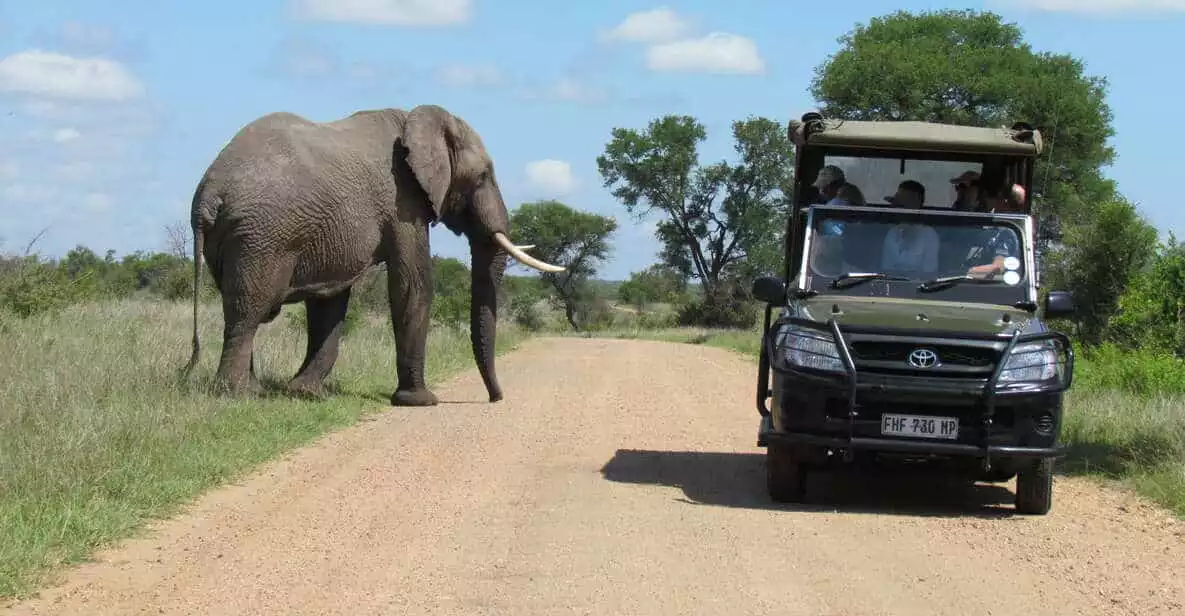Johannesburg: Full Day Open Safari in Kruger National Park | GetYourGuide