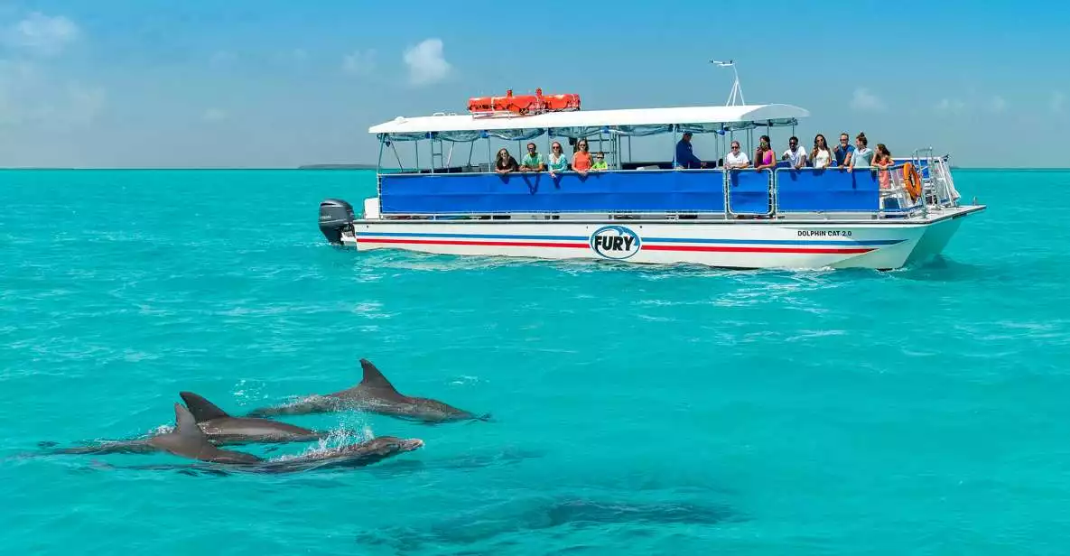 Key West Dolphin Watch and Snorkel Eco Tour | GetYourGuide
