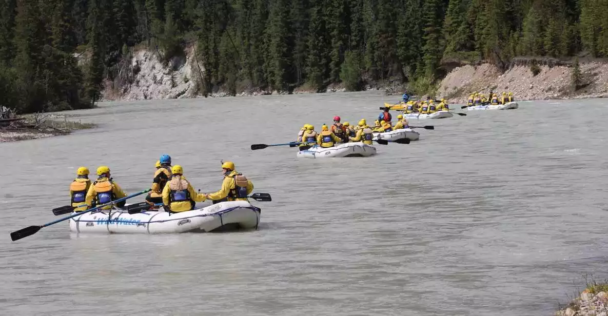 Kicking Horse River: Half-Day Intro to Whitewater Rafting | GetYourGuide