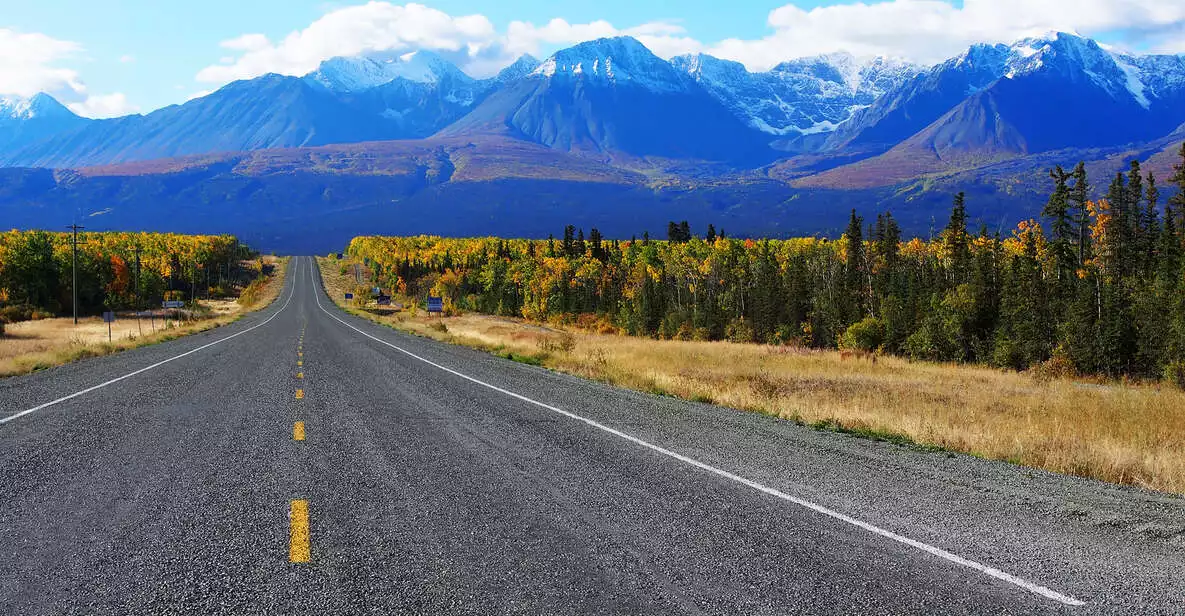 Kluane National Park: Full Day Tour | GetYourGuide