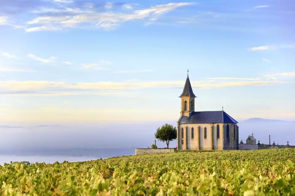 Golden Stones Beaujolais Wine Tasting Trip from Lyon | GetYourGuide