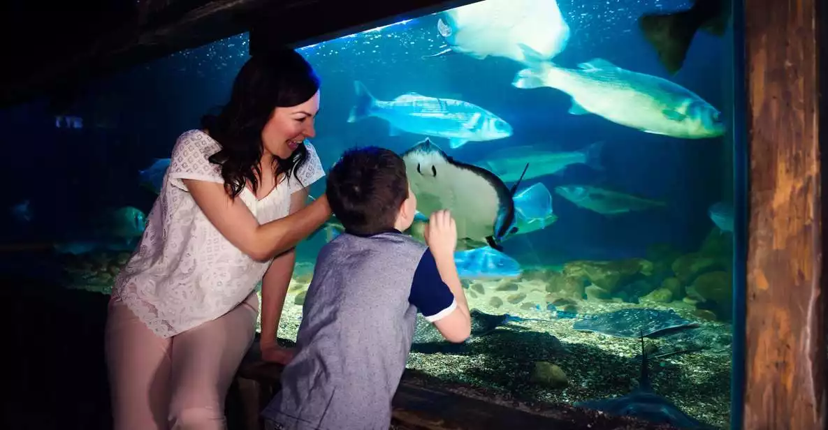 Manchester: Sea Life Entrance Ticket | GetYourGuide