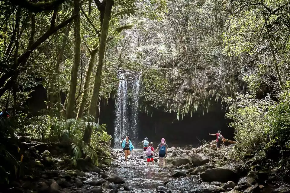 Maui: Waterfall & Rainforest Hiking Tour with Picnic Lunch | GetYourGuide