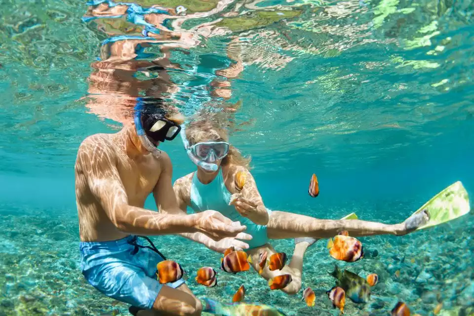 Maui: Afternoon Snorkel to Coral Gardens or Molokini Crater | GetYourGuide