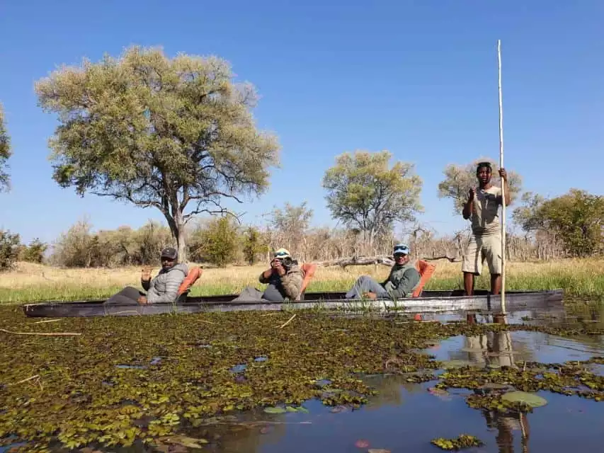 Maun: Okavango Delta Mokoro Tour and Bush Walk | GetYourGuide