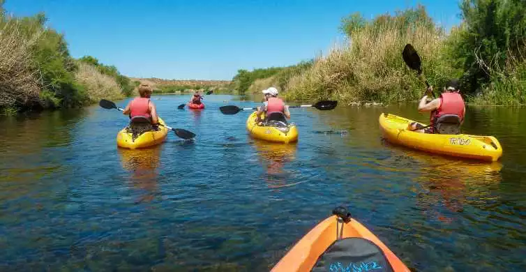 Phoenix: Kayaking Trip to Foxtail | GetYourGuide
