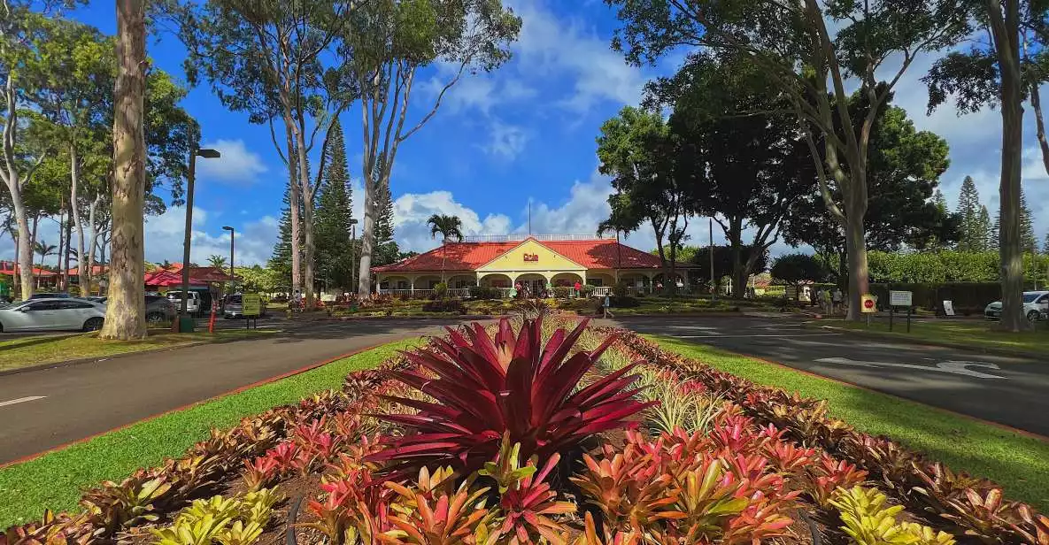 Oahu: North Shore Experience and Dole Plantation | GetYourGuide