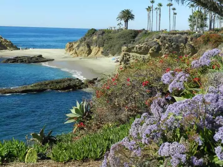 Orange County: Coastal Beach and Highlights Tour by Van | GetYourGuide