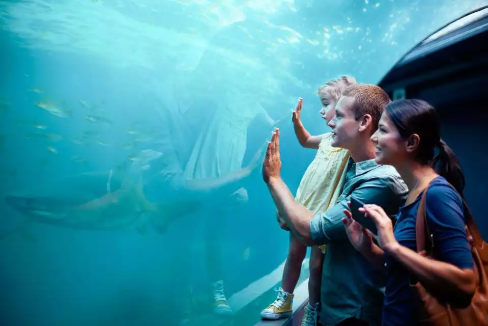 Orlando: SEA LIFE Orlando Aquarium | GetYourGuide