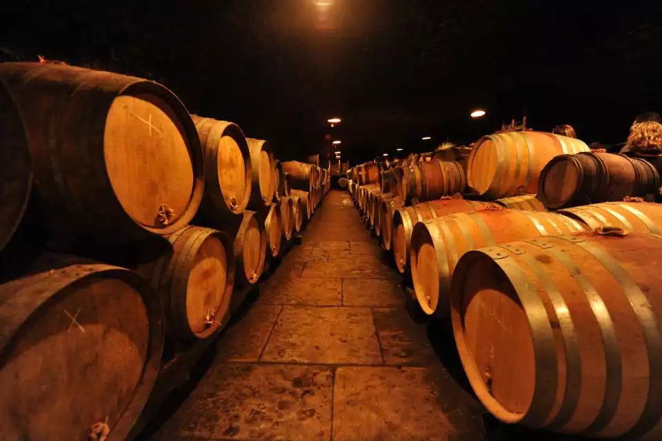 Burgundy Wines Full-Day Tasting Tour from Dijon | GetYourGuide
