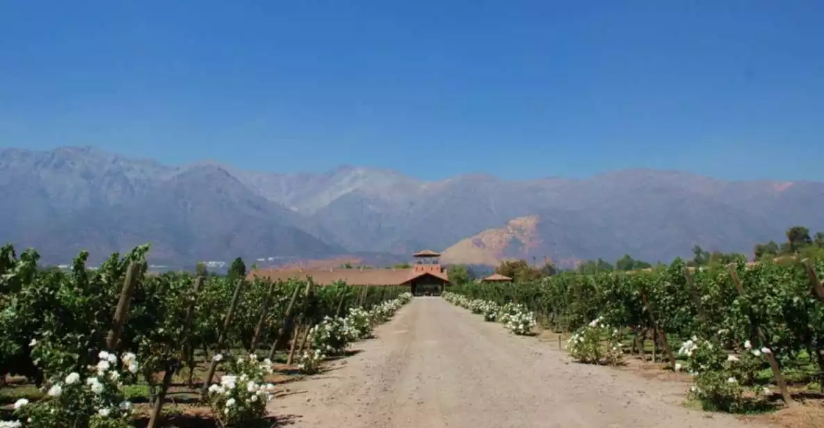 From Santiago: Private Maipo Valley Wine Tour | GetYourGuide