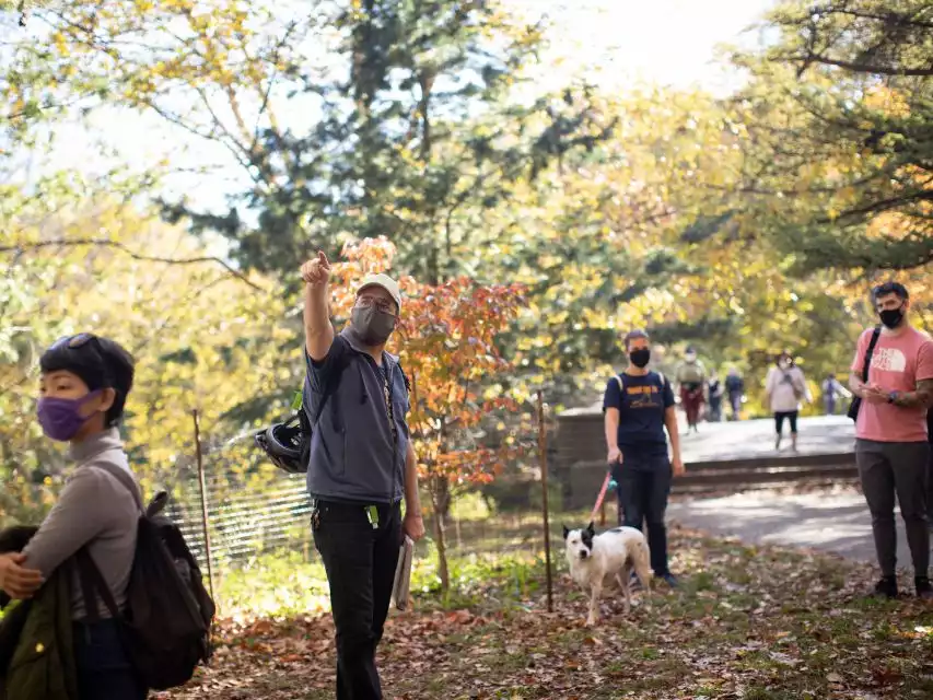 Brooklyn: 2-Hour Prospect Park Guided Walking Tour | GetYourGuide