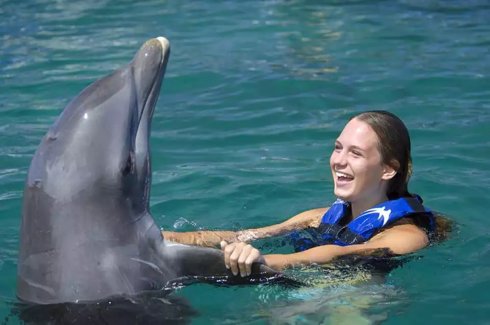 Punta Cana: Dolphin Explorer Swims and Interactions | GetYourGuide