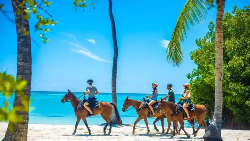 Punta Cana: Swim with Horses Guided Horseback Tour | GetYourGuide