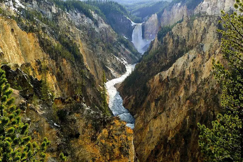 West Yellowstone: Yellowstone Park Tour with Local Guide | GetYourGuide
