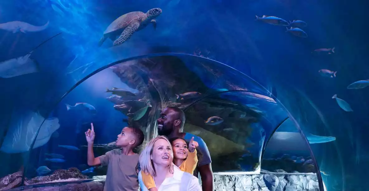 Kansas City: SEA LIFE Kansas City Aquarium General Admission | GetYourGuide