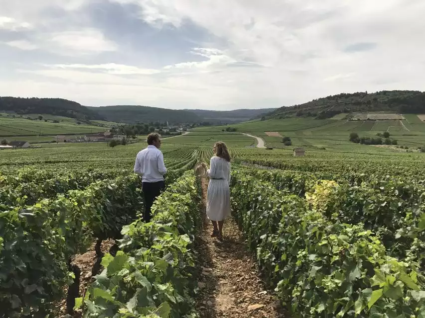 Small Group Winery Tour from Dijon to Beaune with Lunch | GetYourGuide