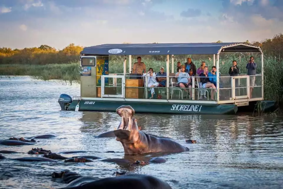St Lucia: Hippo and Crocodile Cruise on a 15-Seat Vessel | GetYourGuide