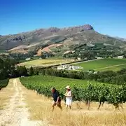 Stellenbosch: 4x4 Winelands Private Experience | GetYourGuide