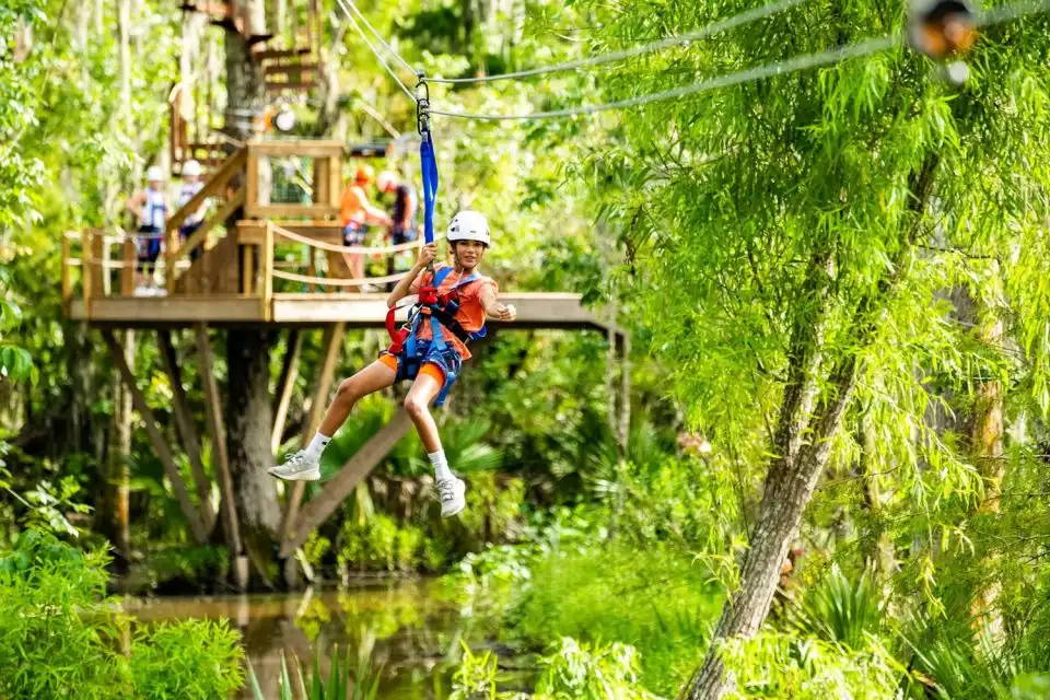 New Orleans: Swamp Zipline Tour with Transfer Option | GetYourGuide