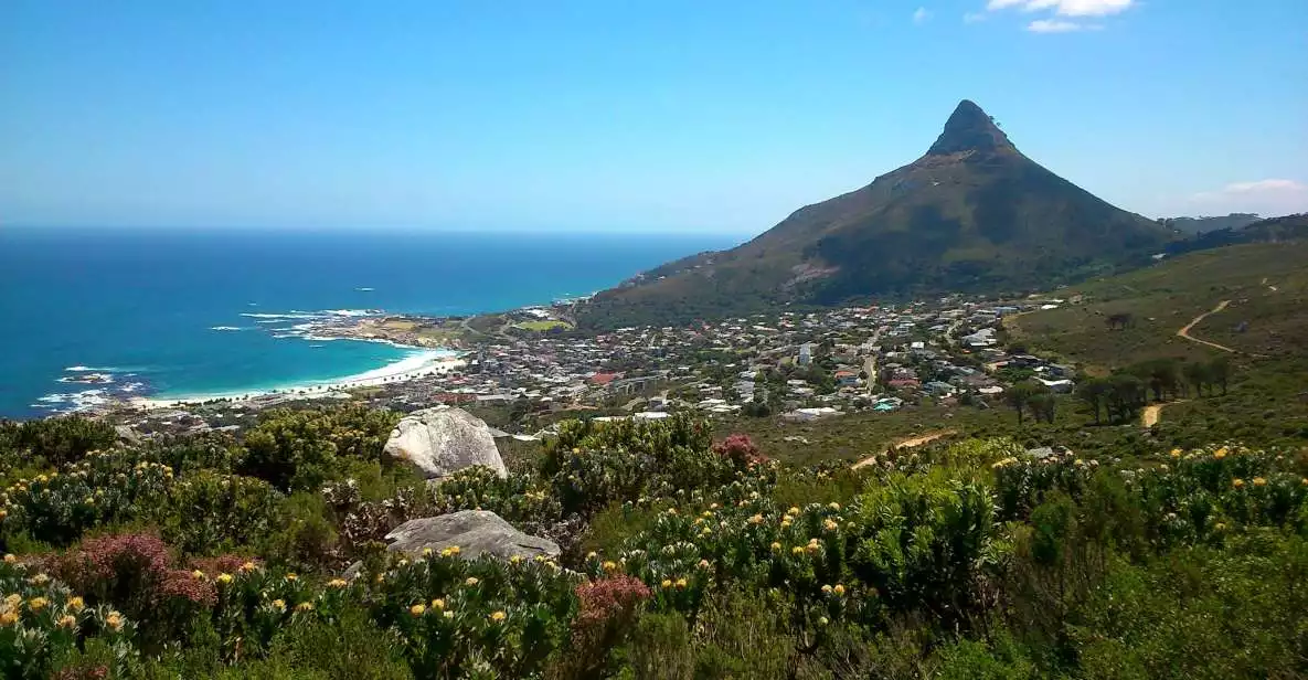 Table Mountain: Gentle Guided Meander for the Whole Family | GetYourGuide