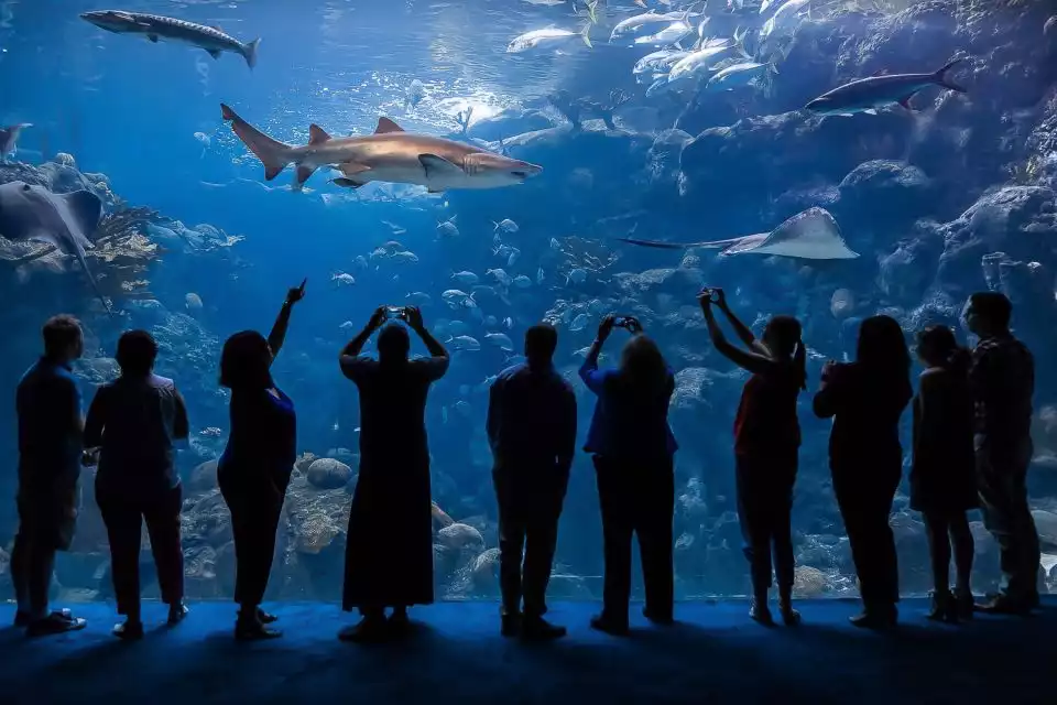 Tampa: The Florida Aquarium Skip-the-Line Entrance | GetYourGuide