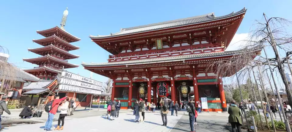 Tokyo: Full-Day Private Tour with Nationally-Licensed Guide | GetYourGuide