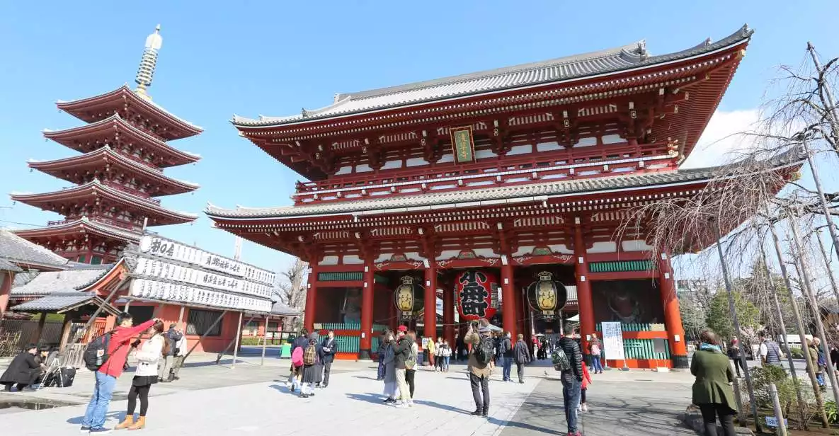 Tokyo: Full-Day Private Tour with Nationally-Licensed Guide | GetYourGuide