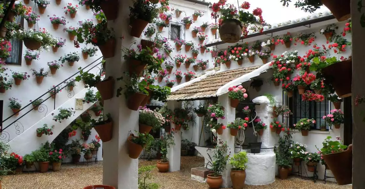 Córdoba: Patios Special Christmas Walking Tour in Spanish | GetYourGuide