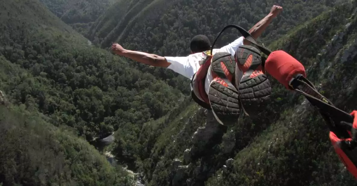 Tsitsikamma: Bungee Jump with Zipline and Sky Walk | GetYourGuide