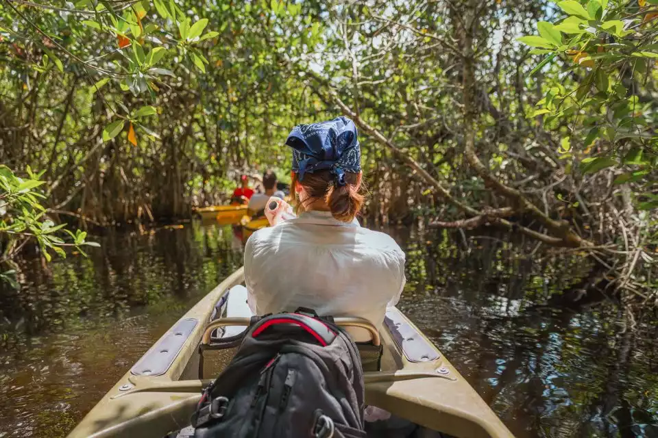 Everglades National Park: Mangrove Tunnel Kayak Eco-Tour | GetYourGuide