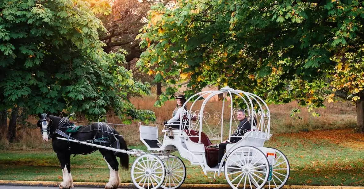 Victoria: Carriage Tour of James Bay and Beacon Hill Park | GetYourGuide