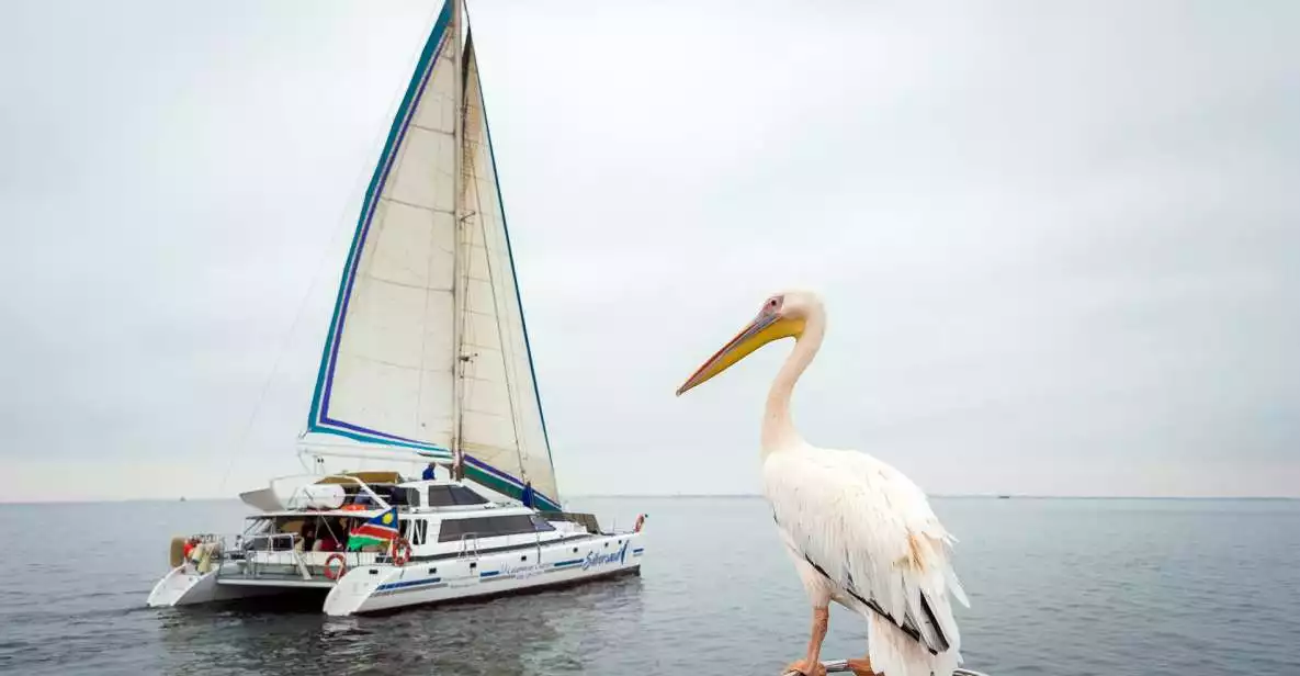 Walvis Bay: Marine Big 5 Luxury Catamaran Tour | GetYourGuide