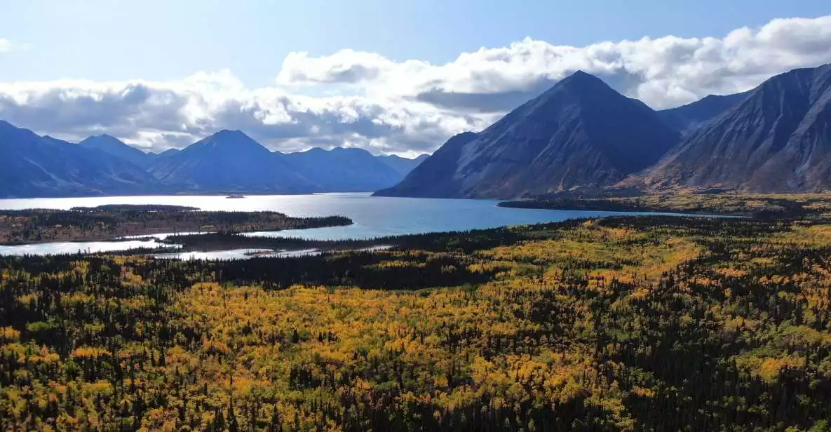 Whitehorse: Kluane National Park & Haines Junction Day Trip | GetYourGuide