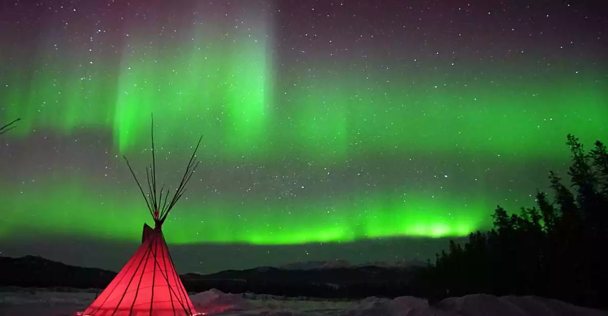 Yukon: Aurora Borealis Evening Viewing Tour | GetYourGuide