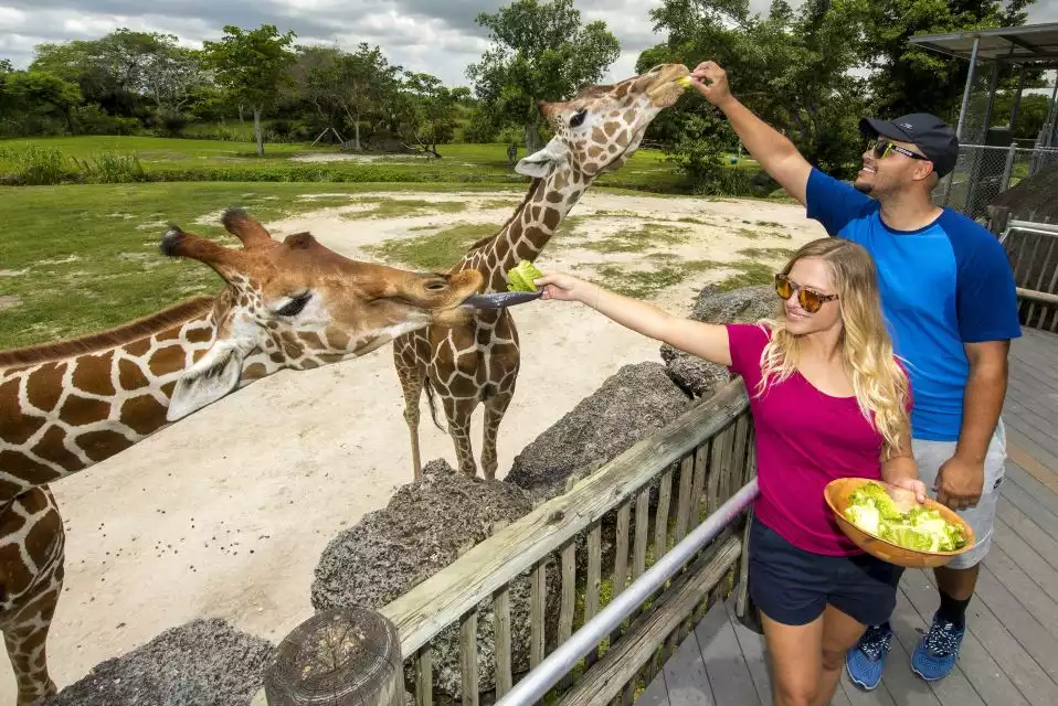 Zoo Miami: General Admission Ticket | GetYourGuide