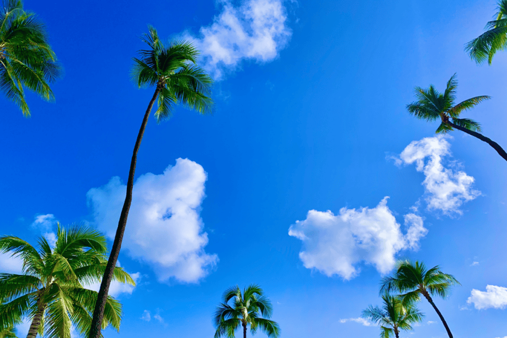 top-17-hidden-gems-to-visit-in-hawaii